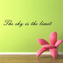     - The sky is the limit