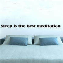  - Sleep is the best medition